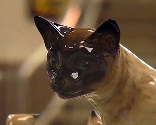 Feline Historical Museum