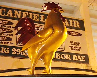 Cleaning Up At The Fair