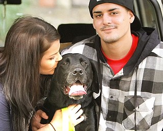 Dog Reunited With Owner