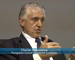 Sammarone: Campaign