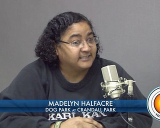 Dog Park at Crandall Park