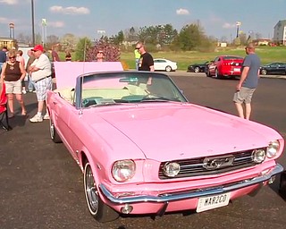 Mahoning Valley Mustangs