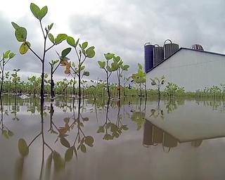 Farm Flooding