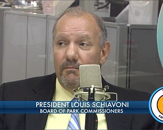 Mill Creek - Carp Kill From Sewer Spill