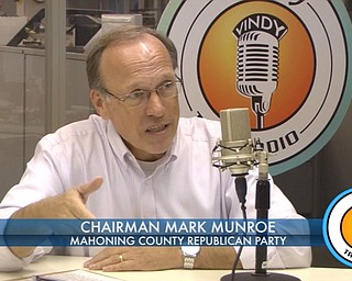 Munroe - Engaging in Politics