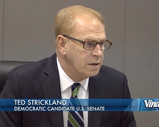 About Ted Strickland