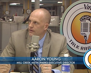 Budget Considerations