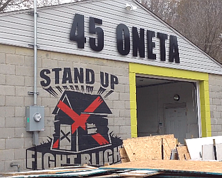 YNDC continues to grow