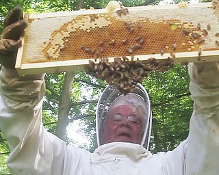 ABUZZ ABOUT BEES