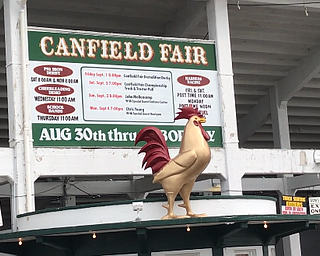 Vindy at the Fair: Vendors discuss the 171st Canfield Fair