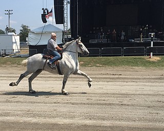 Horse Racing at the Fair