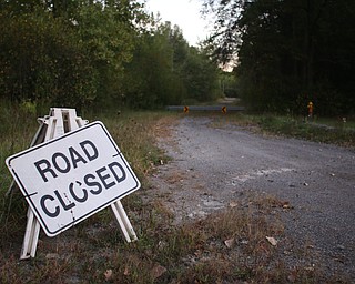 Not forgotten: Sharonline