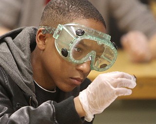 Photo Highlights Nov.12-18, 2017