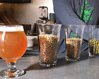 Vindicator beer at Birdfish Brewing Co.