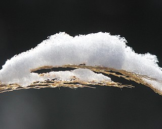 Winter Weather Hits The Valley