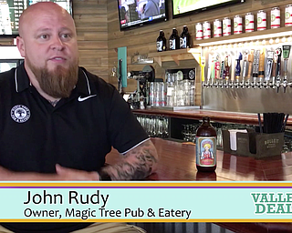 Valley Deals 365 - Magic Tree Pub & Eatery